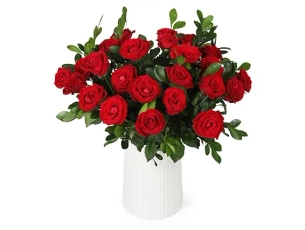 15 Lovely red roses
