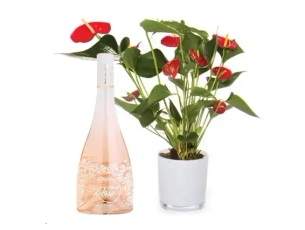 Anthurium & Rose wine