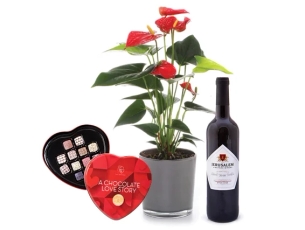 Anthurium, Wine & Pralines