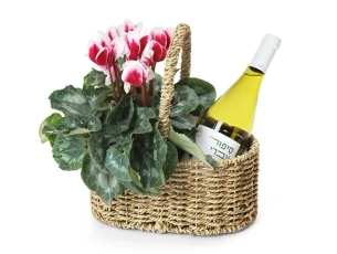 Cyclamen & Wine Gift in basket