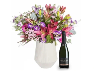 Magic Moments XL & Cava