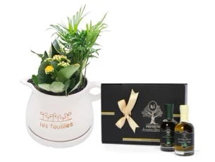 A gift set of olive oil from Jerusalem Olive Oil plus a country cocktail planter
