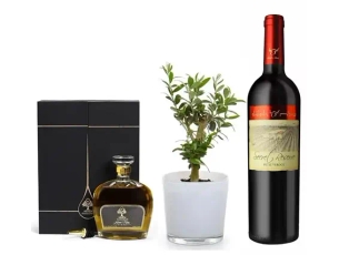 Heart Notes Premium Olive Oil plus  a bottle of excellent Red Wine & an olive plant