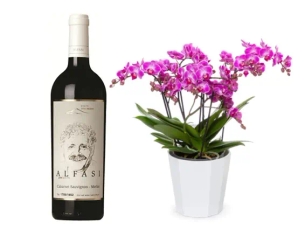 Belissimo Orchid plus an exclusive Alphasi Red Wine from the Odem Mountain Winery.