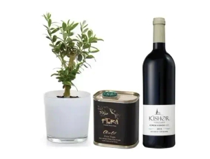 Olive Oil, Plant & Wine