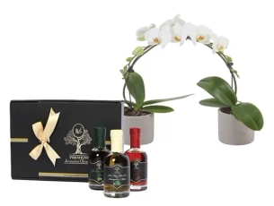 Boutique Gift : Ponto Orchid & Jerusalem olive oil