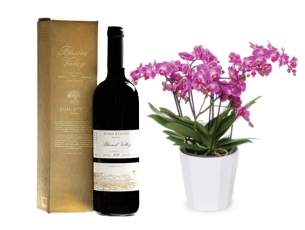 Bellissimo Orchid & red wine