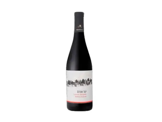 Odem Forest Red wine