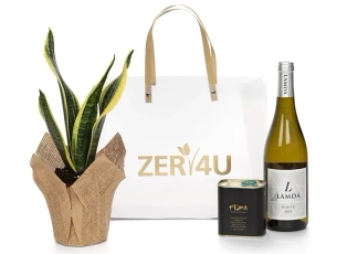 Box with white wine, olive oil, flower pot