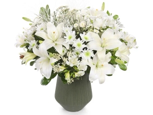 flower gift delivery ZER4U ISRAEL