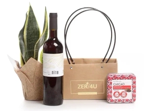 A plant, chocolate & red wine in a bag