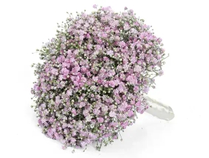Pink Gypsophila wedding bouquet
