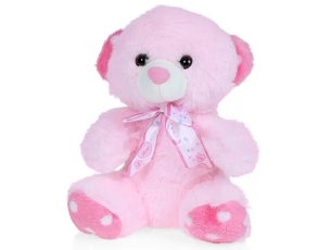 Teddy Bear for the Birth of a Daughter