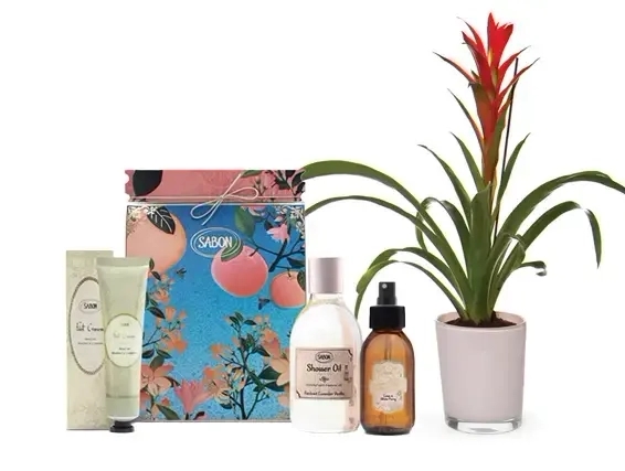 Guzmania plant & Sabon spa giftwarp