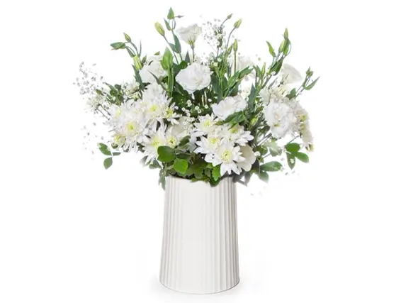 Alon plus white vase
