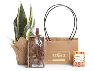 Plant & Honey and Chocolate Cake Package