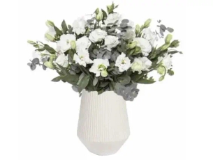 Cotton - white lisianthus zer4u Israel