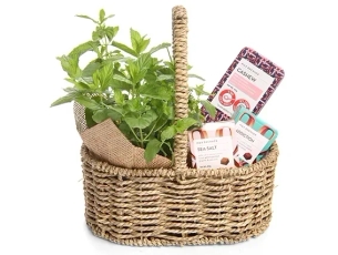 Box with plant & chocolate