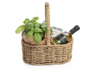 Box with chocolate olive oil, plant