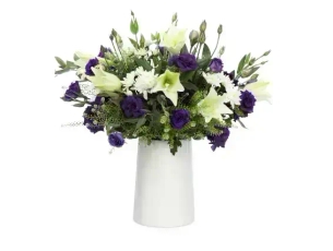 Purple lily S